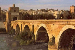 Vigna Stelluti